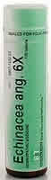 Echinacea Angustifolia 6X 100 tabs from BOERICKE & TAFEL
